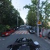 박물관수_4