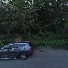 박물관수_3