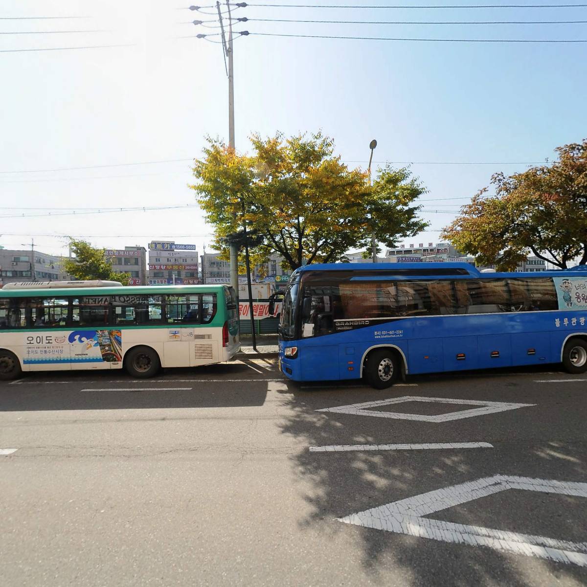 마라연구소_3