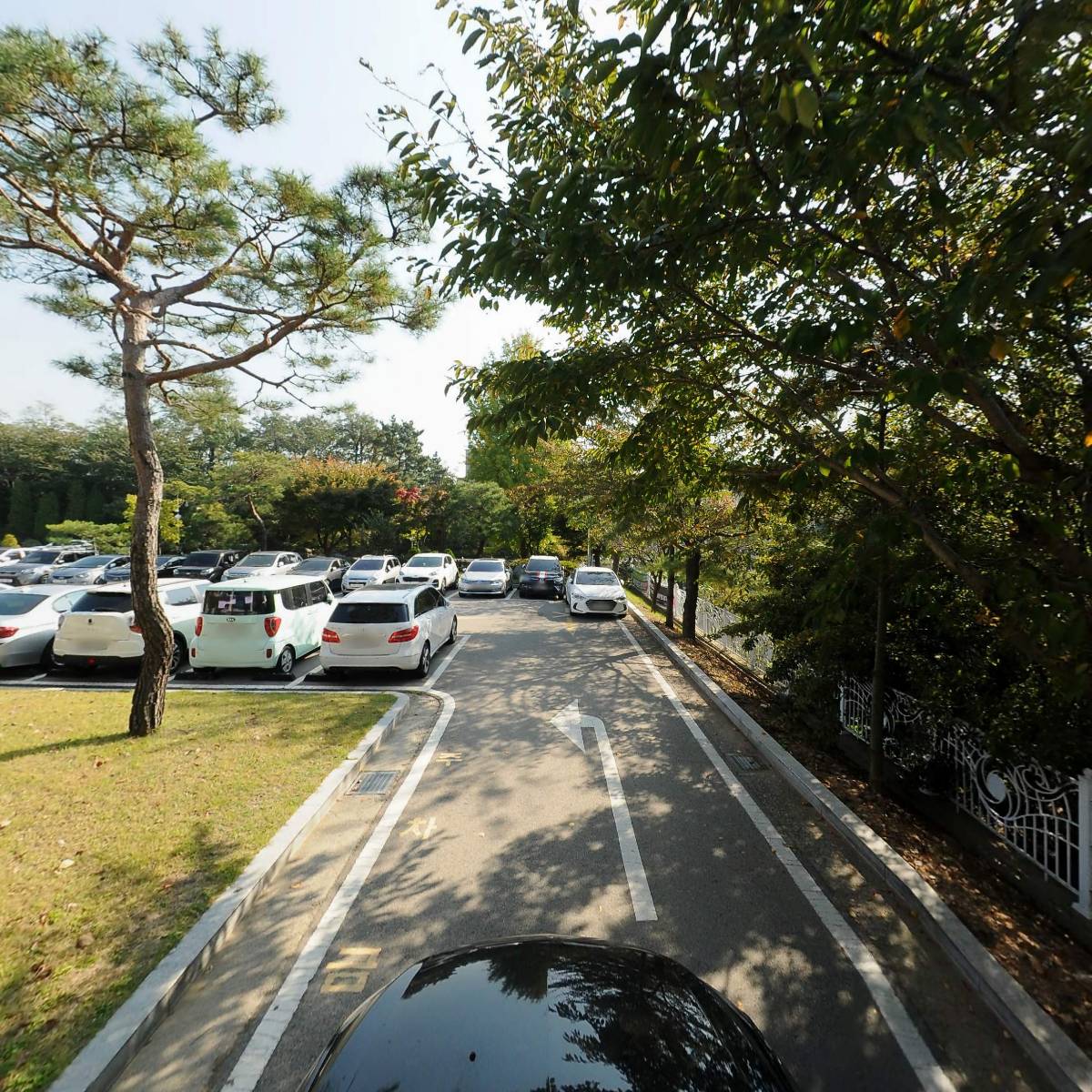 오세라_4