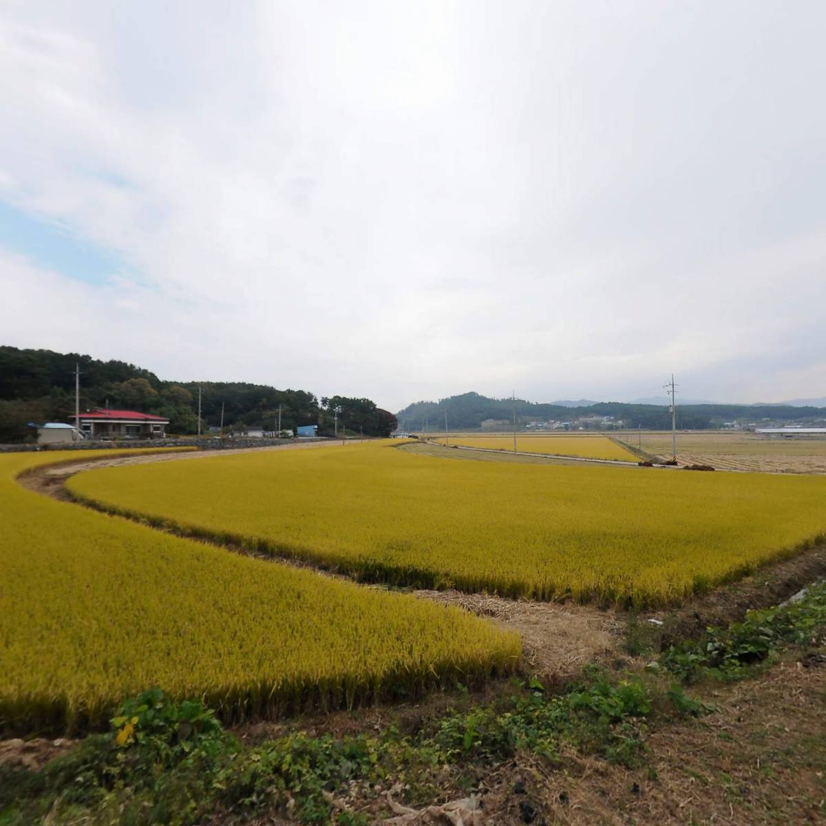 대천유통（주）상 휴게소 지점_3