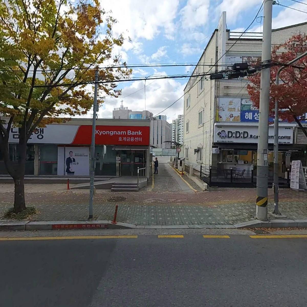 앙시안경콘택트