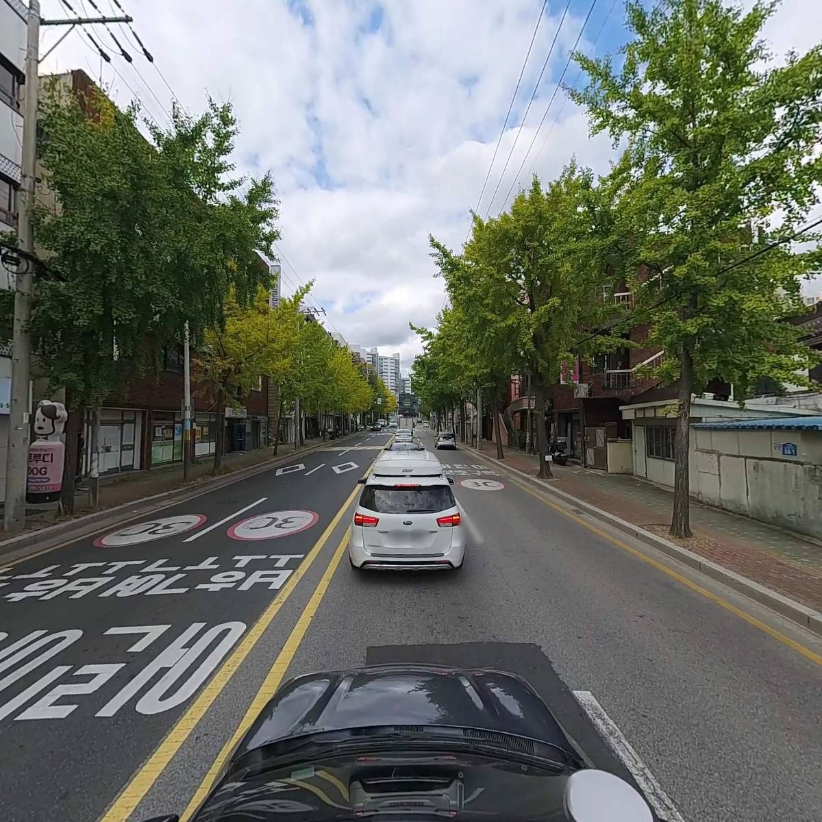 트루디DOG애견미용실_4