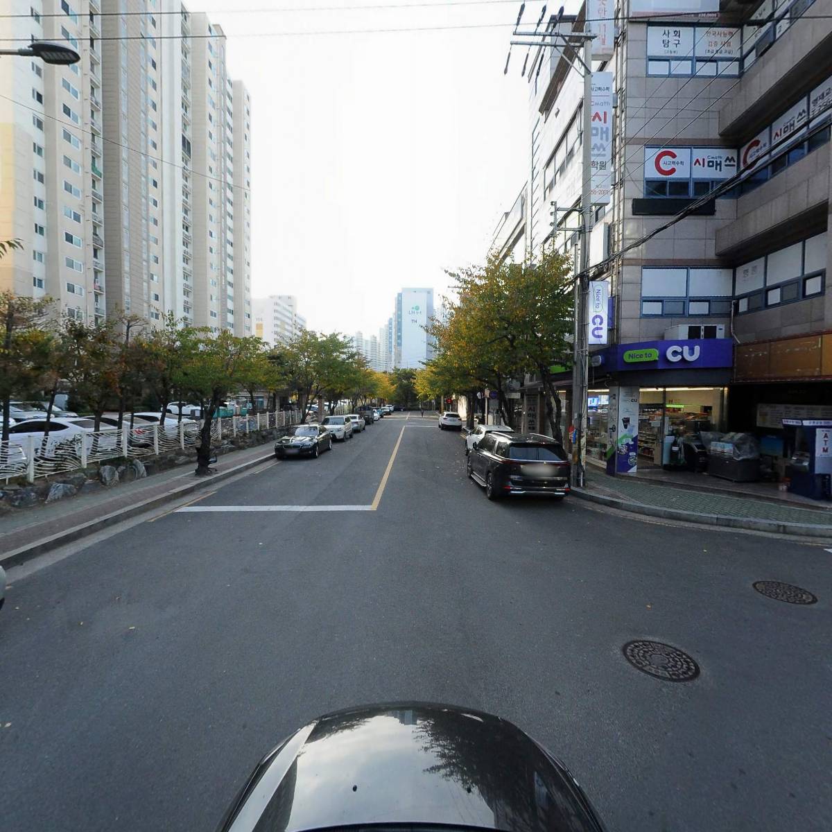 모니카과메기_4