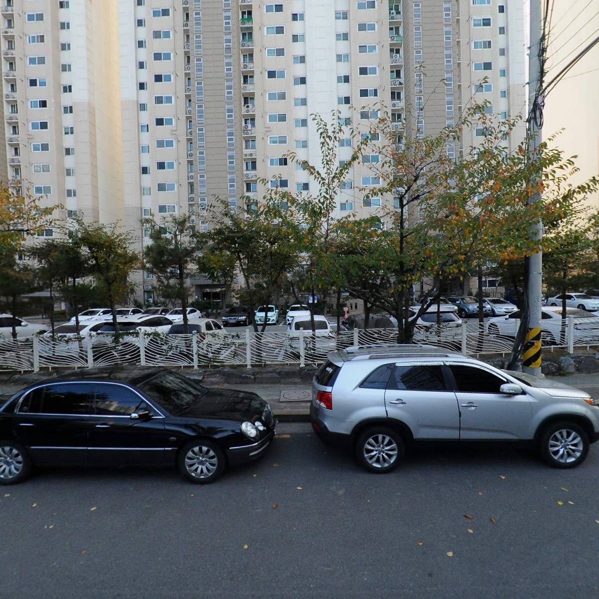 모니카과메기_3