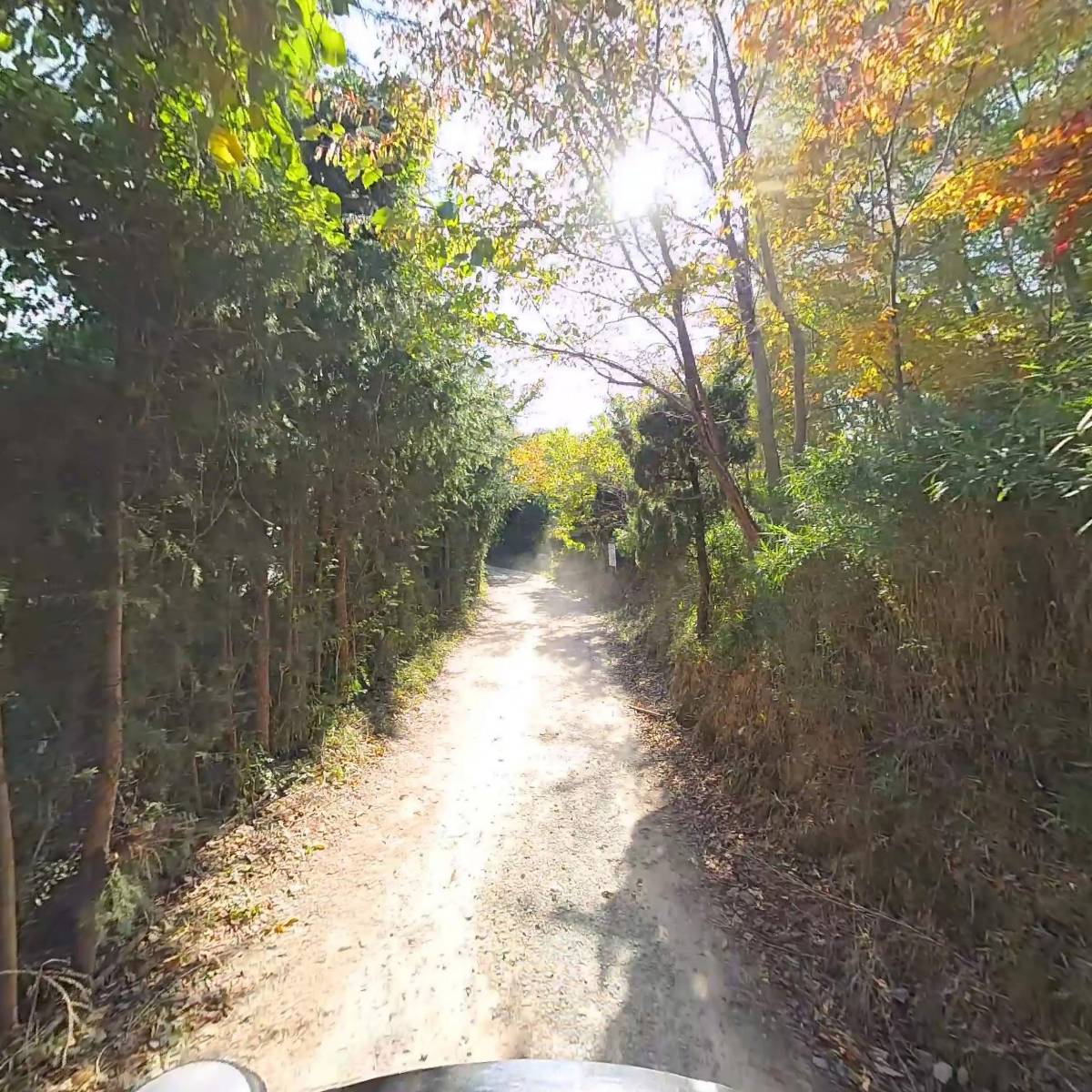 농업회사법인 동물의 정원 주식회사_2