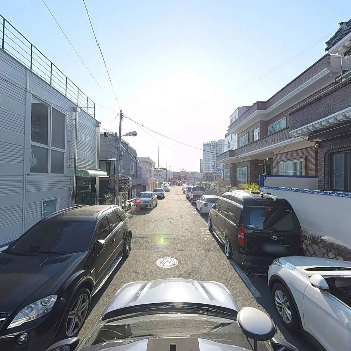 대성농산_4