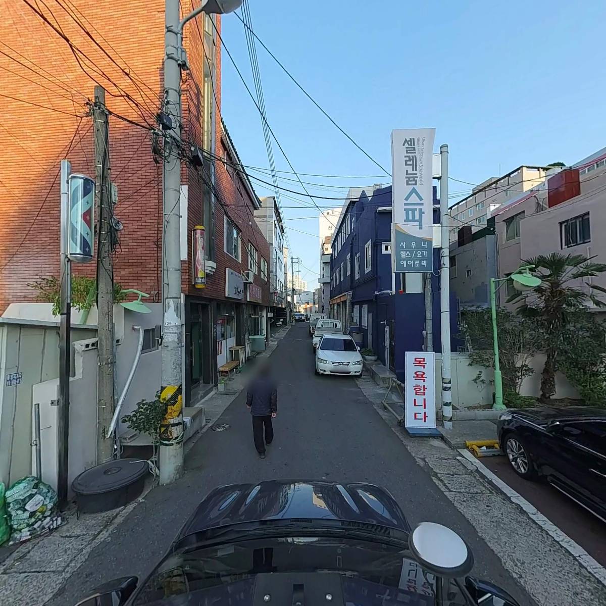 셀레늄스파_4