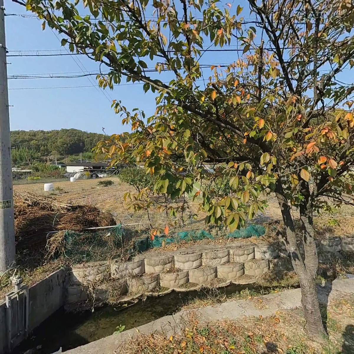 라인텍스