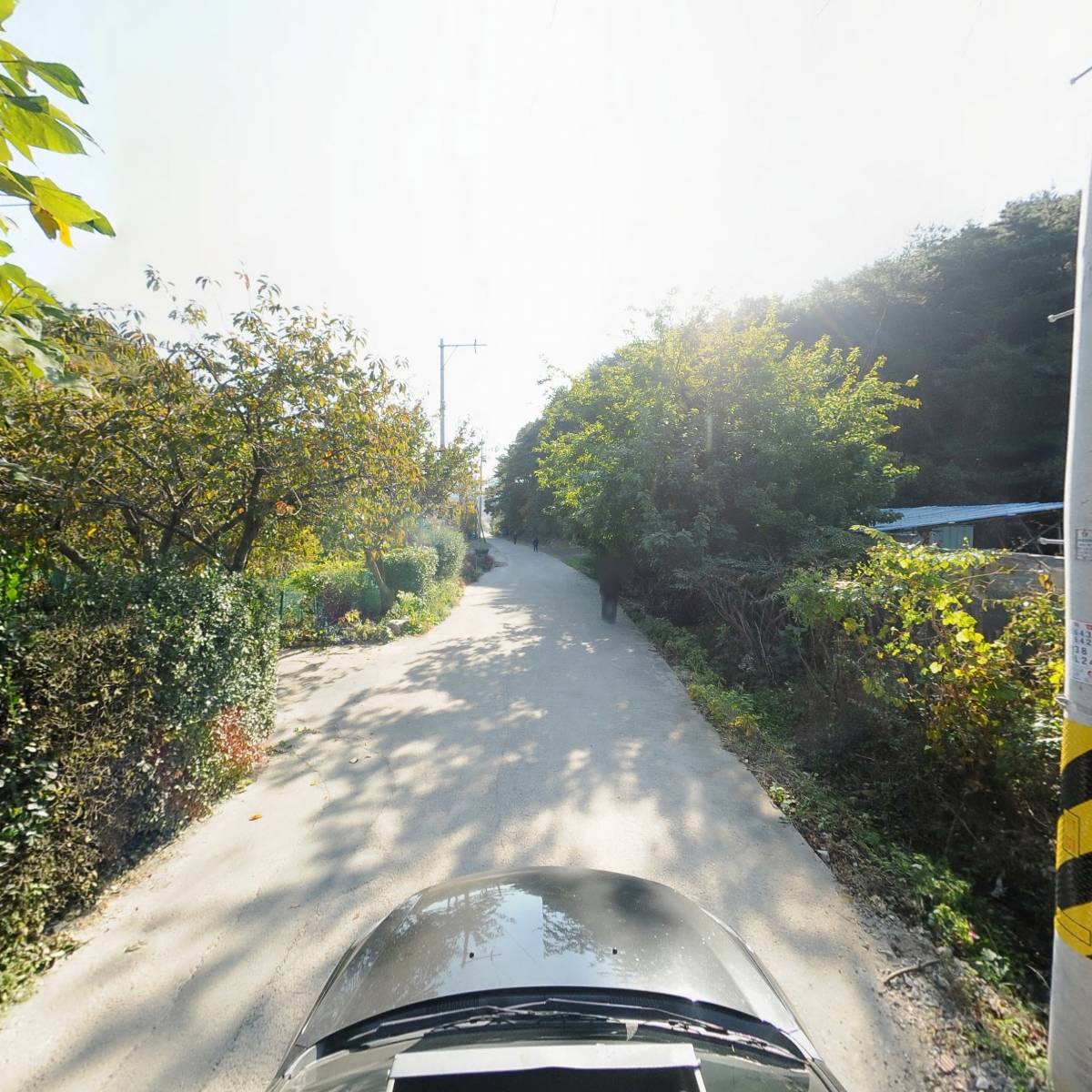해피트리어린이집_4