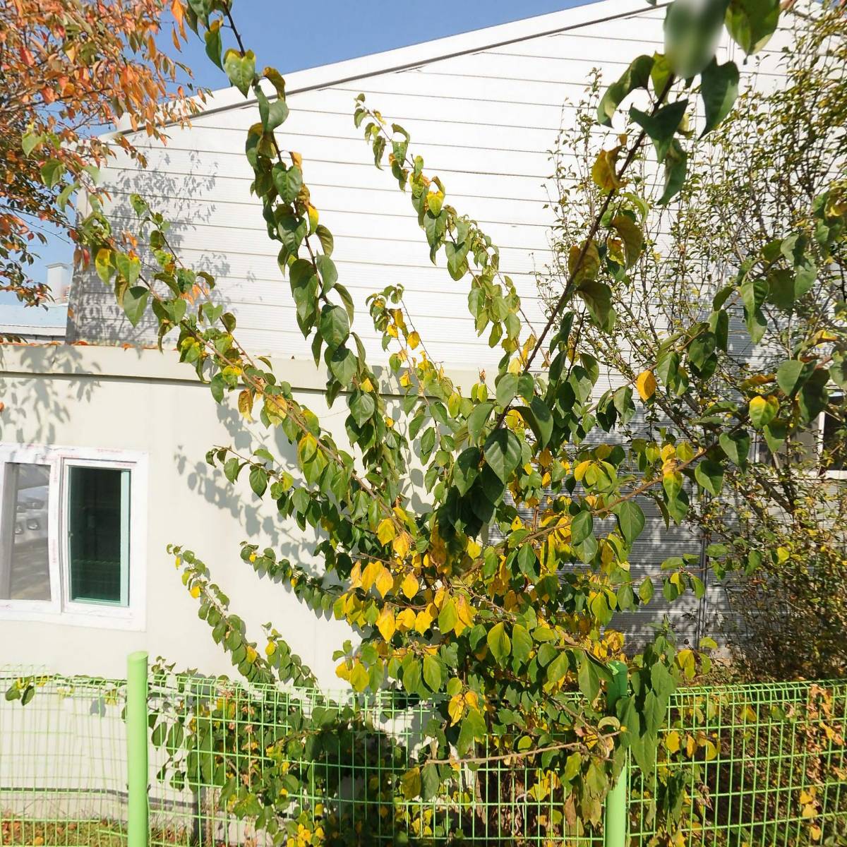 주식회사 에스엠에이치전장_3