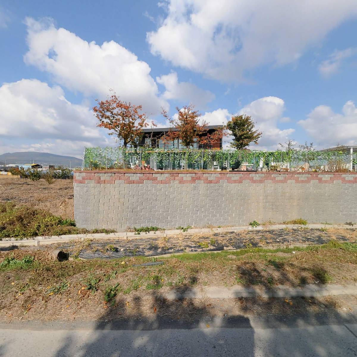 주식회사 한채