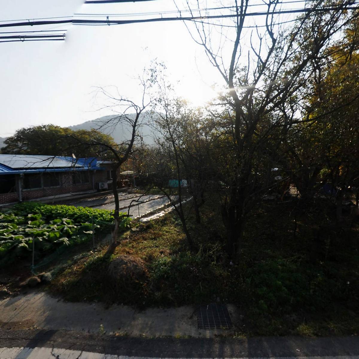 영농조합법인보령전통주_3