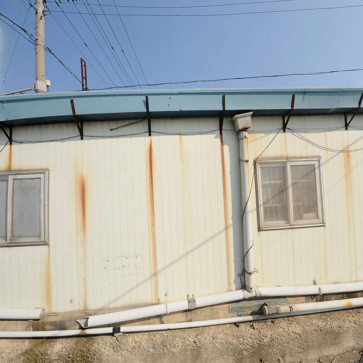 서해동물병원