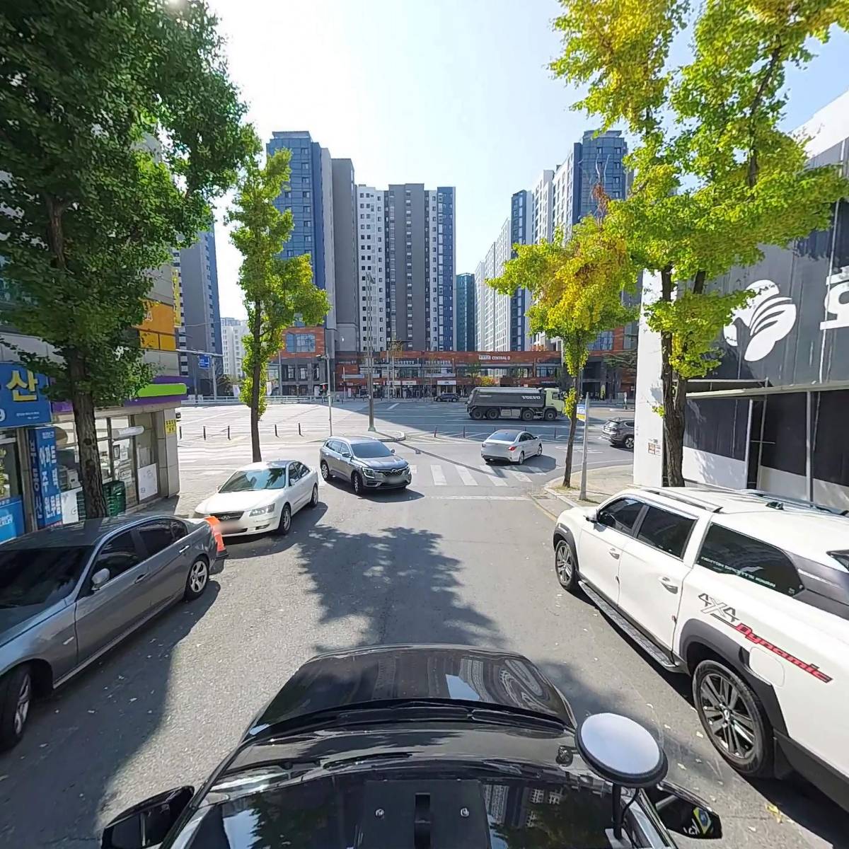 마고초이스_4