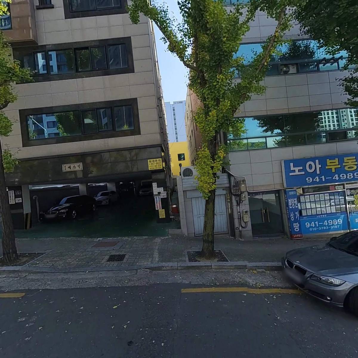 마고초이스_3