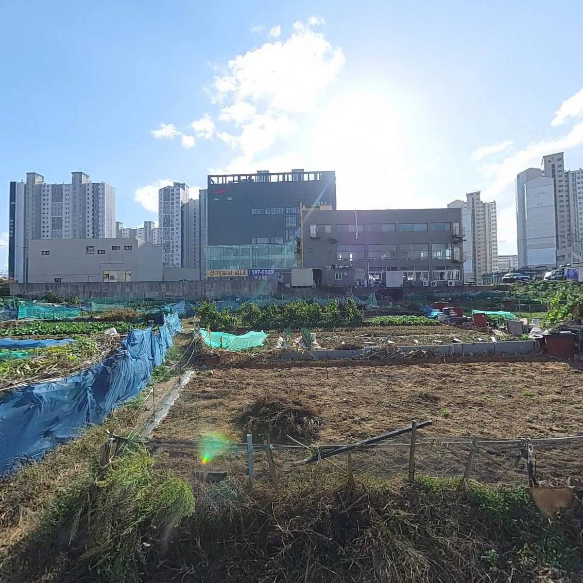 윈드힐(WindHill)