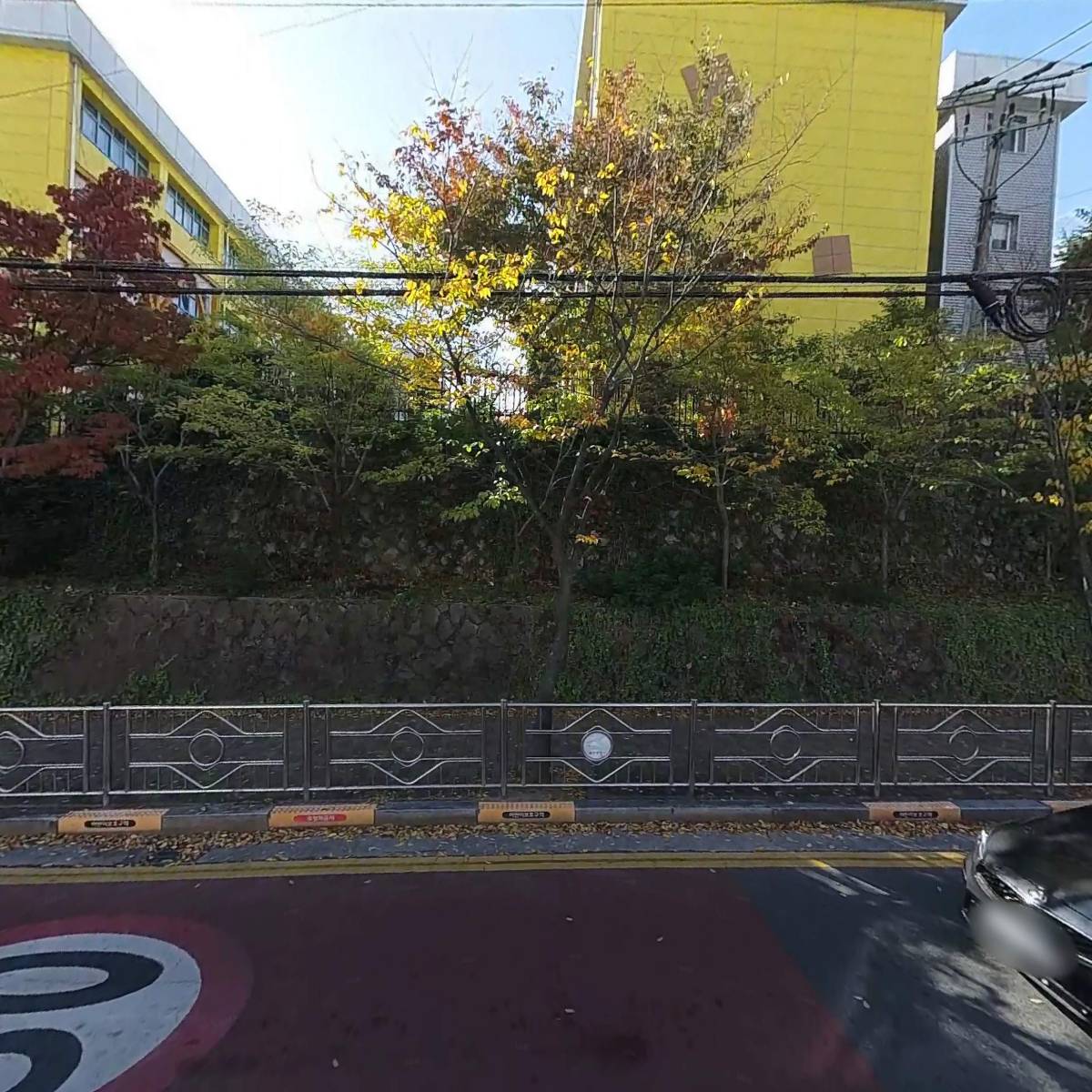 수암서점 모닝글로리