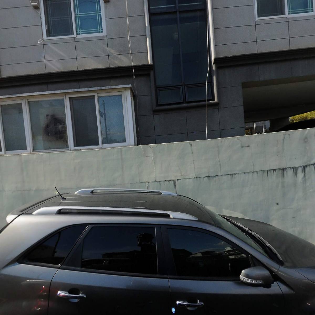 맘모스_3