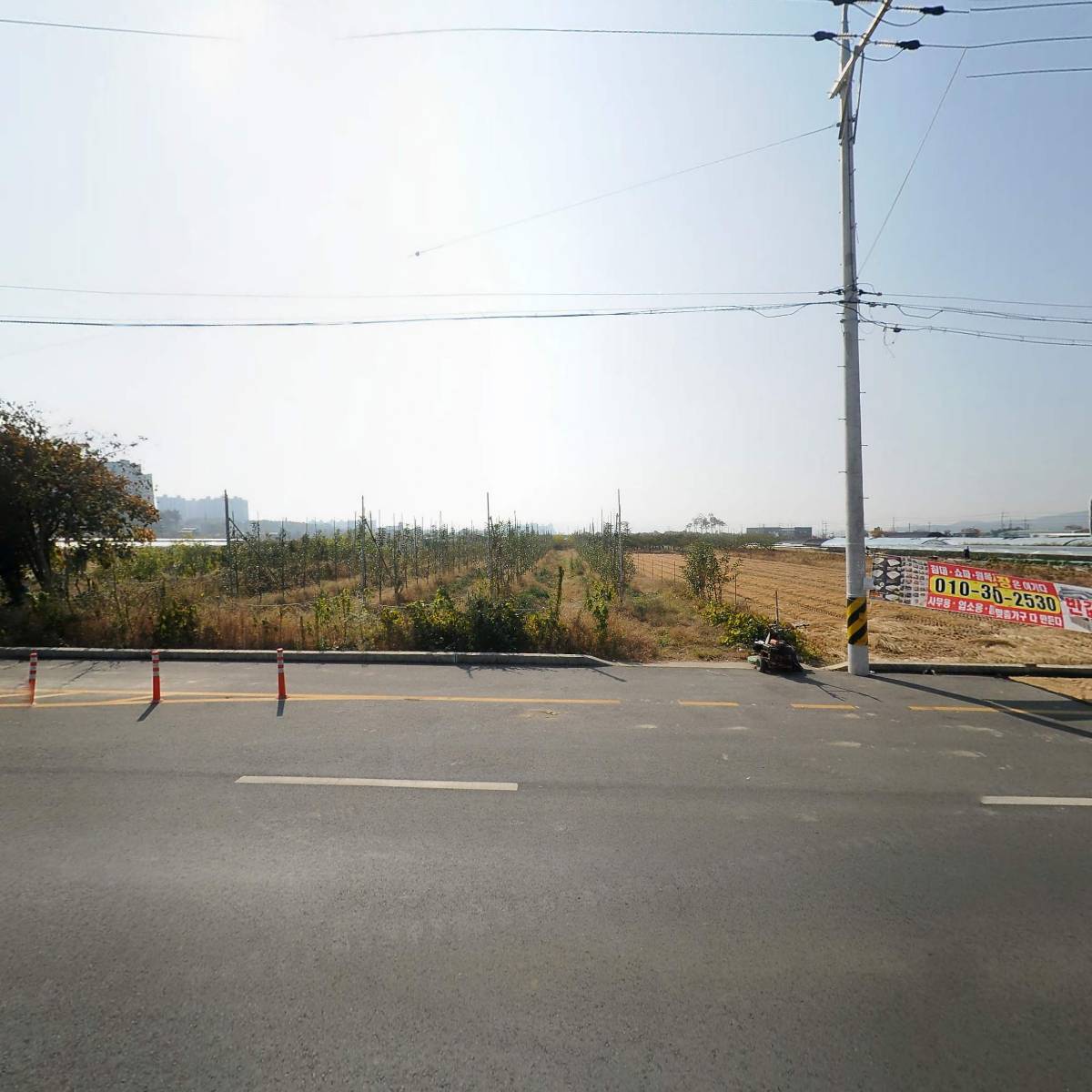 매봉꾸지뽕_3