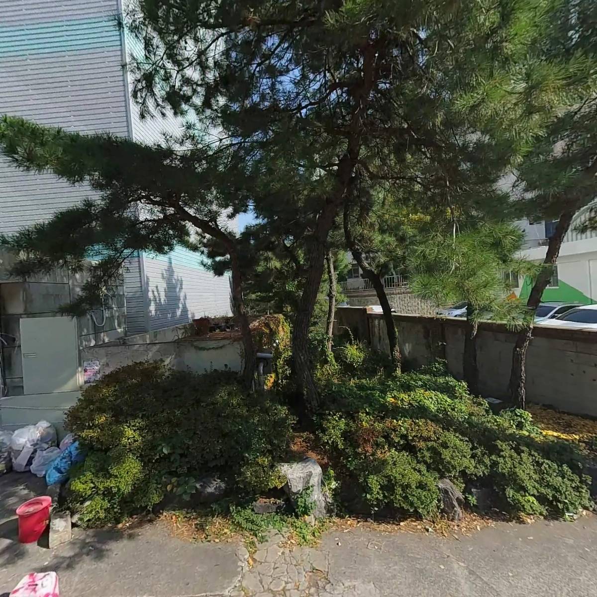 맑은치과의원