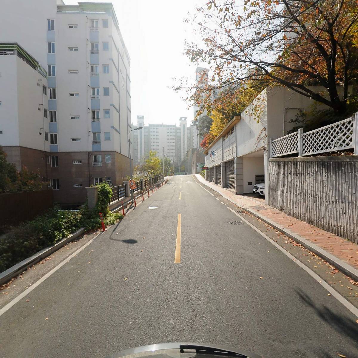 대지두마리_2