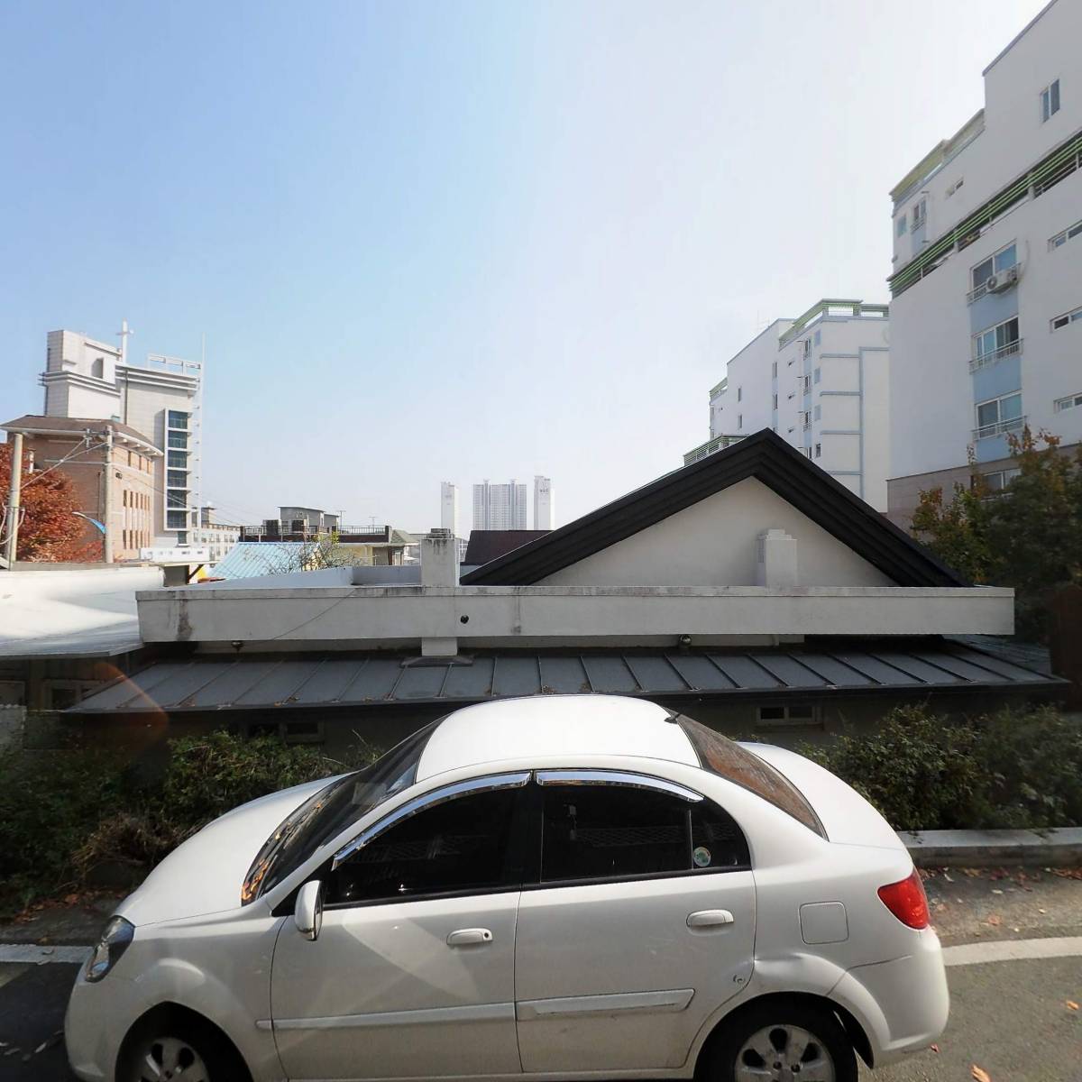 대지두마리