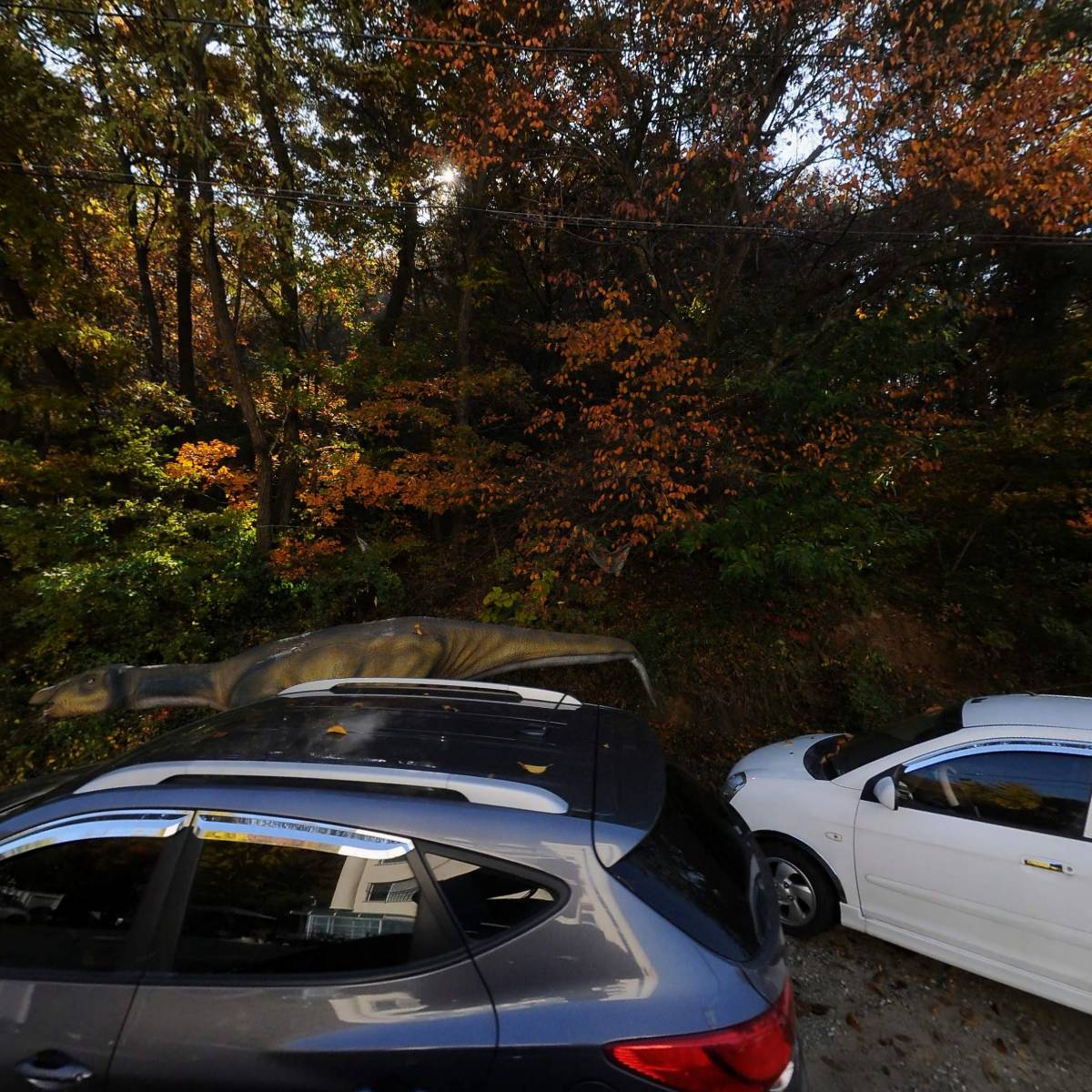 해피니스요양원