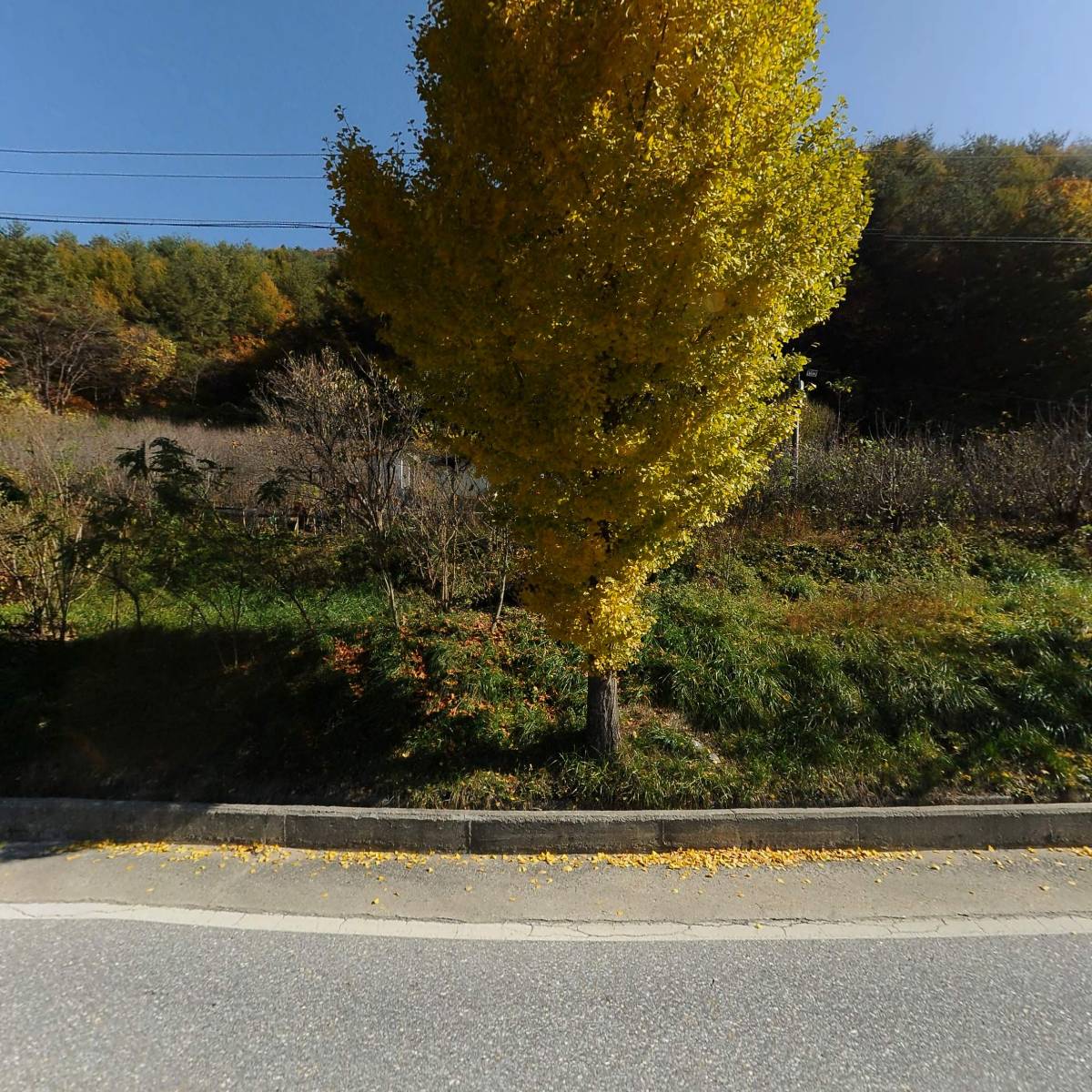 솔향강릉N_3