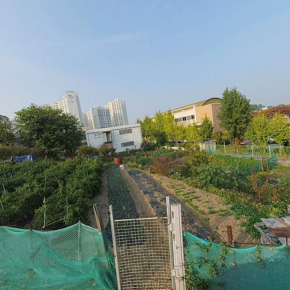 주식회사 세아_3