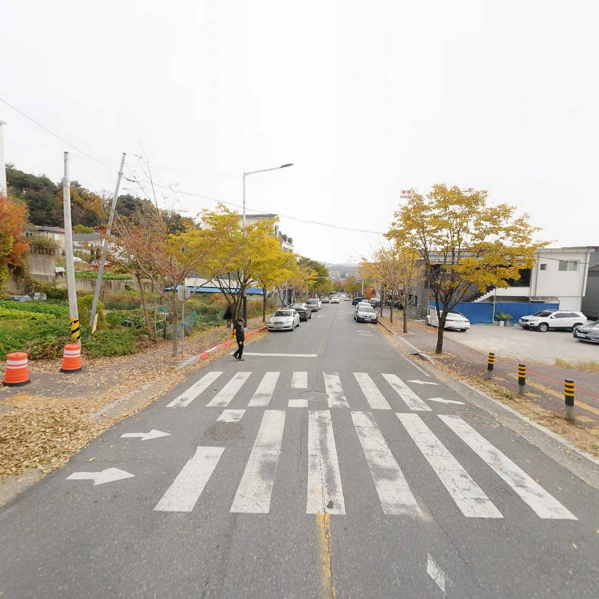 해품수달향기_2