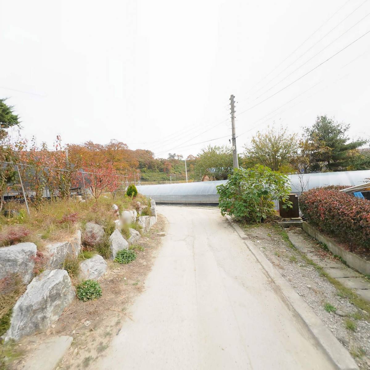 계룡쌈채피망청정마을_2