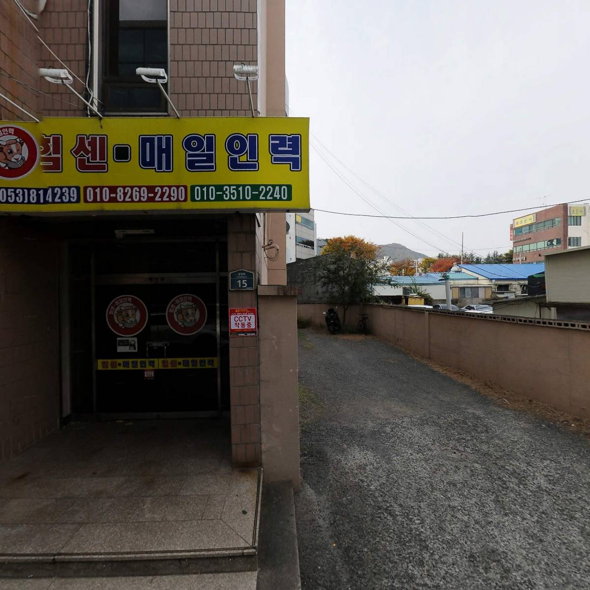 단하나무_3