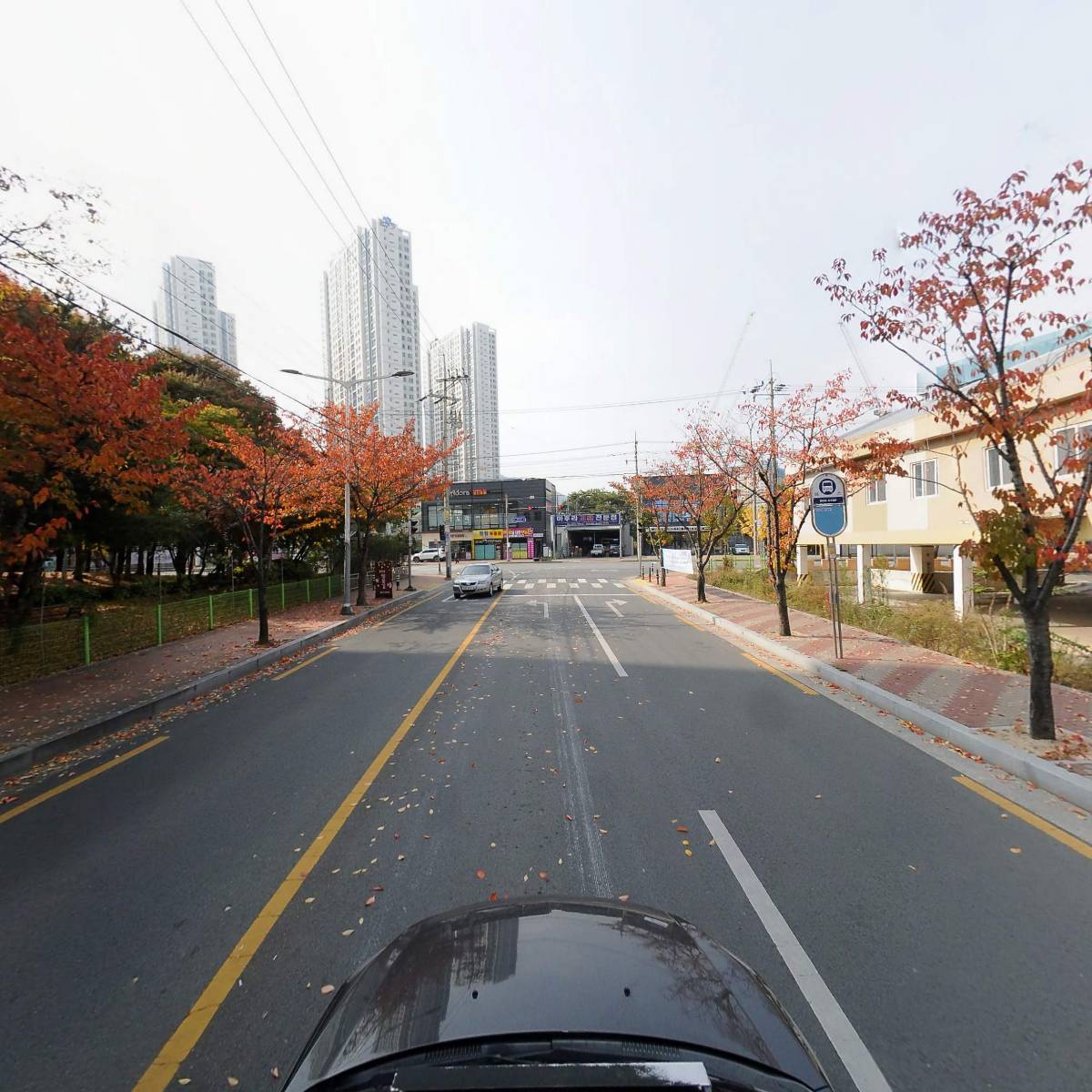 주식회사달구벌식자재경산_4