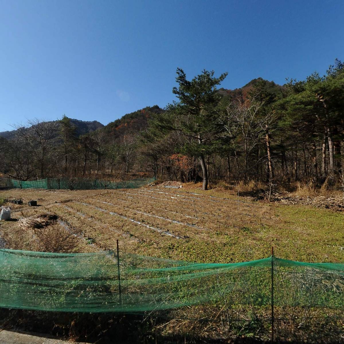 부연마을토종꿀농장_3