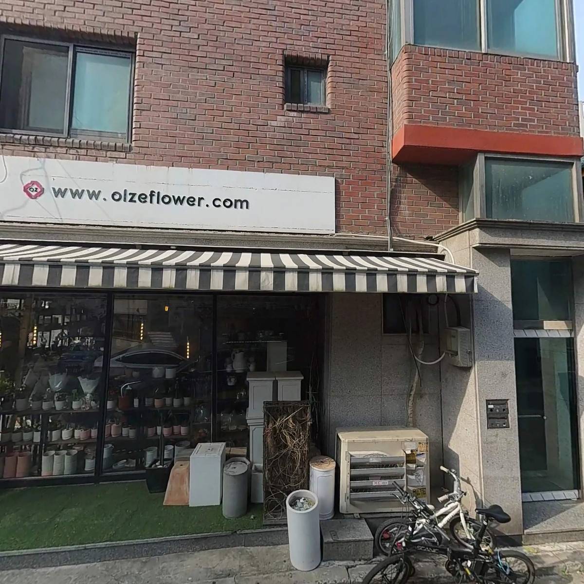 올제플라워