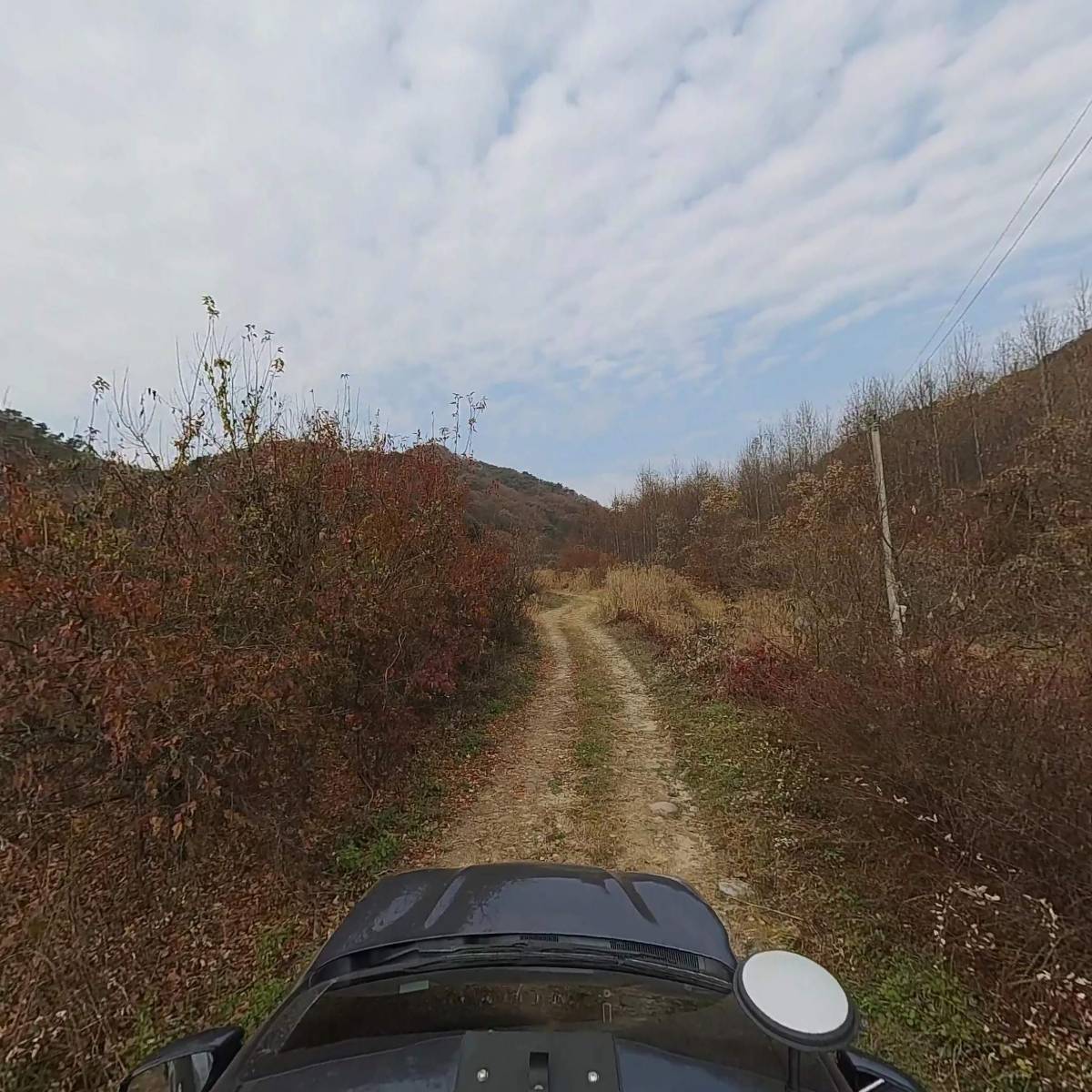 댕스올롸잇_4