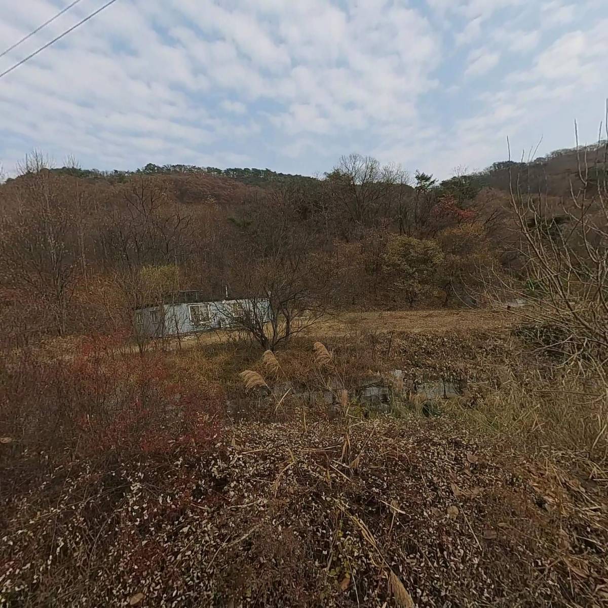 댕스올롸잇