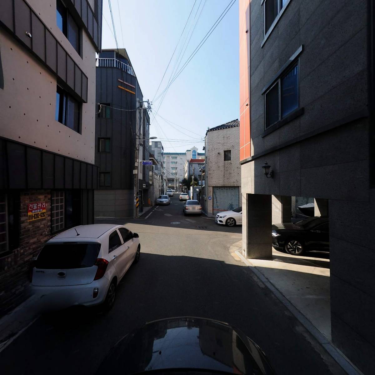 사메스_4