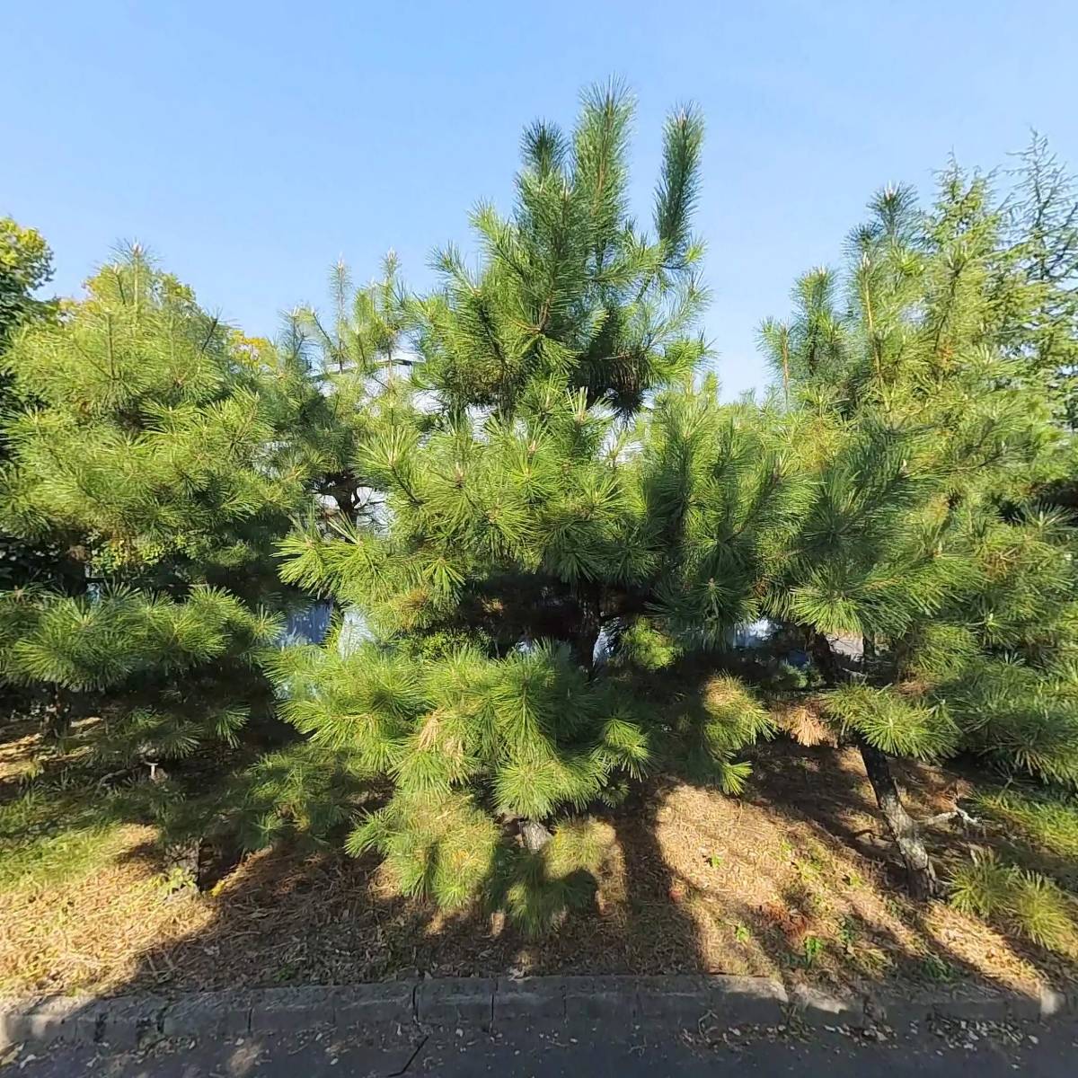 세진산업(주)_3