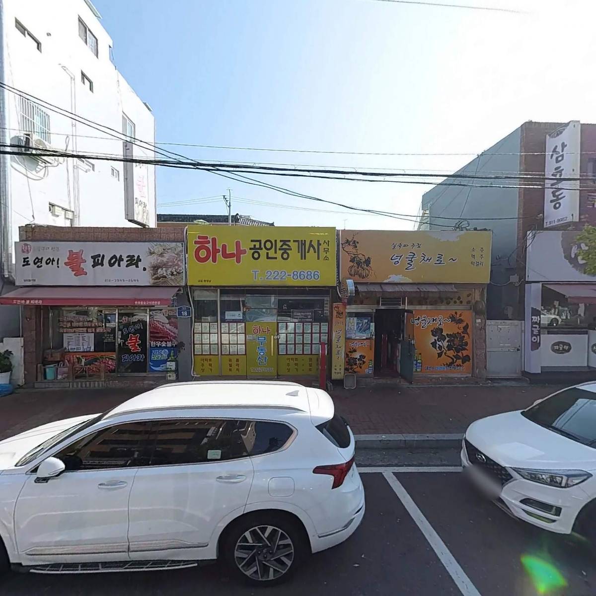넝쿨