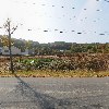 주식회사 고수록식품 농업회사법인_3