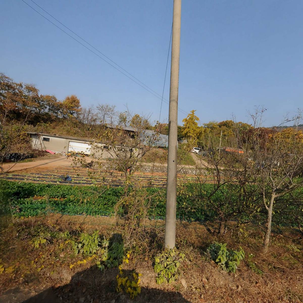 (사) 한국농악보존협회 서산시 지회 고북연암농악단 지부