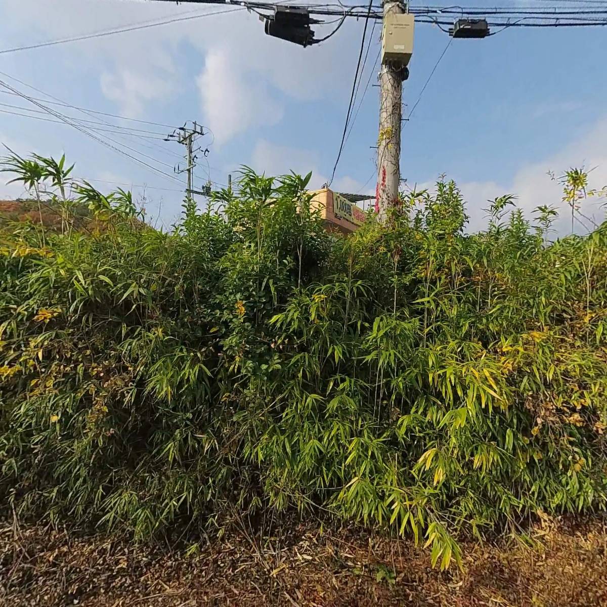 (주)푸드윈