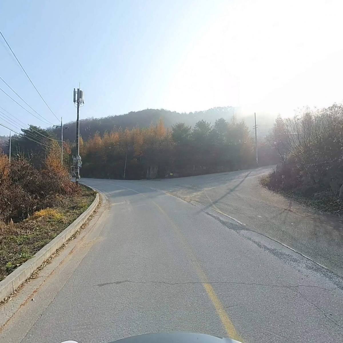 황둔참숯_2