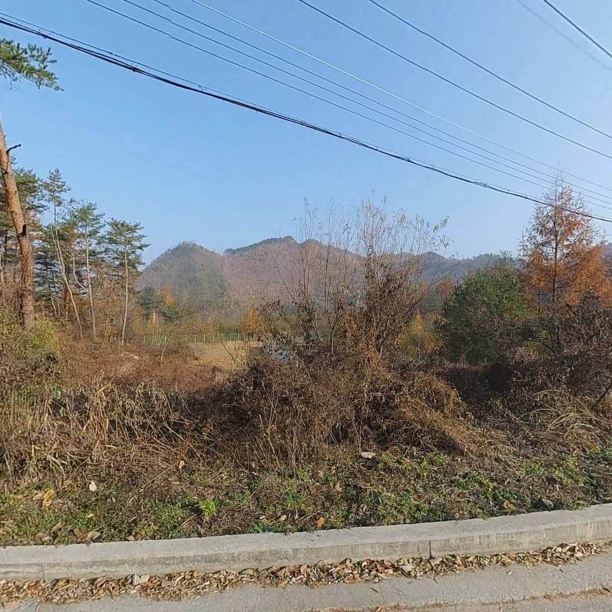 황둔참숯