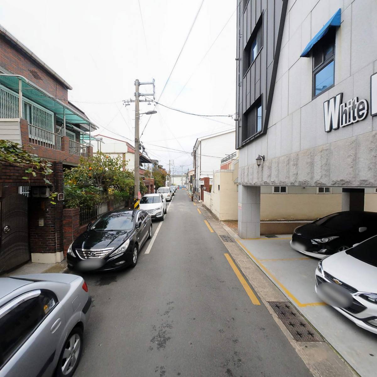 사단법인 경상북도 숲해설가협회 포항시지부_2