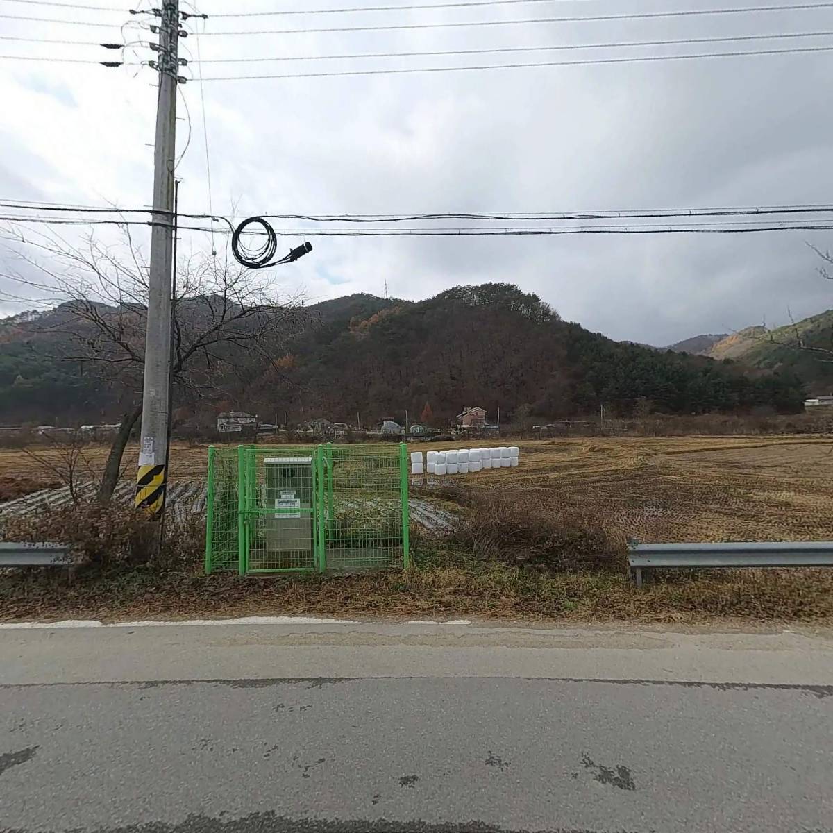 와이에스엠_3