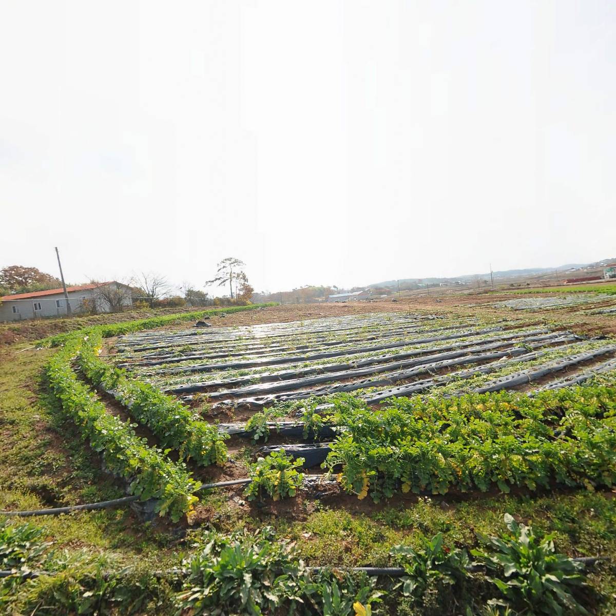 동남 발전소