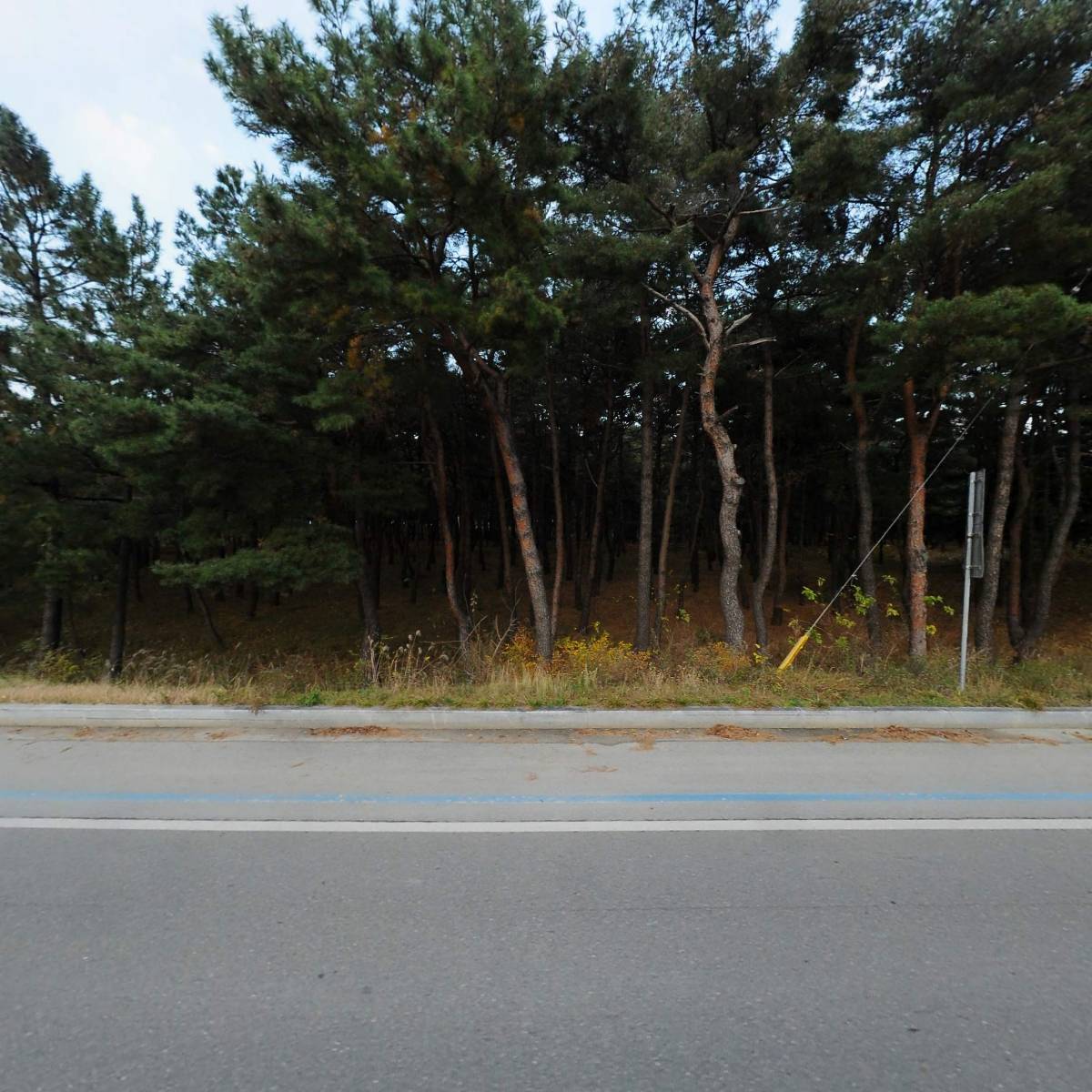 조이앤카